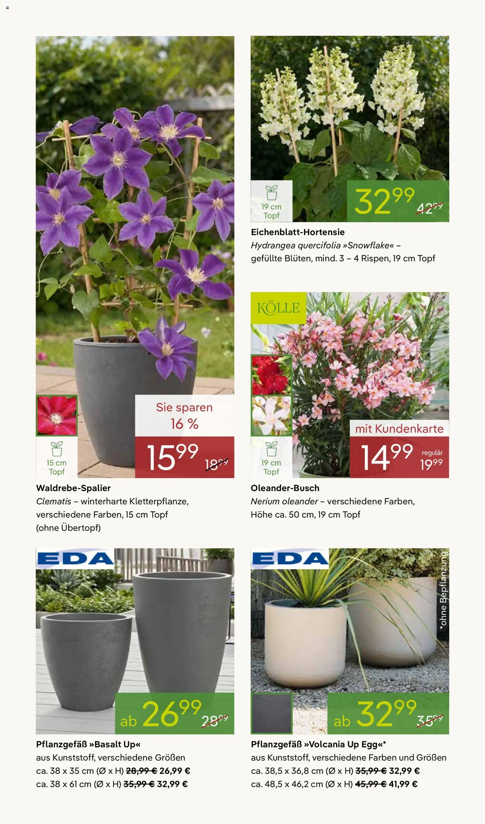 Pflanzen-Kölle Prospekt 	 – gültig ab 04.05.2026 | Seite: 4