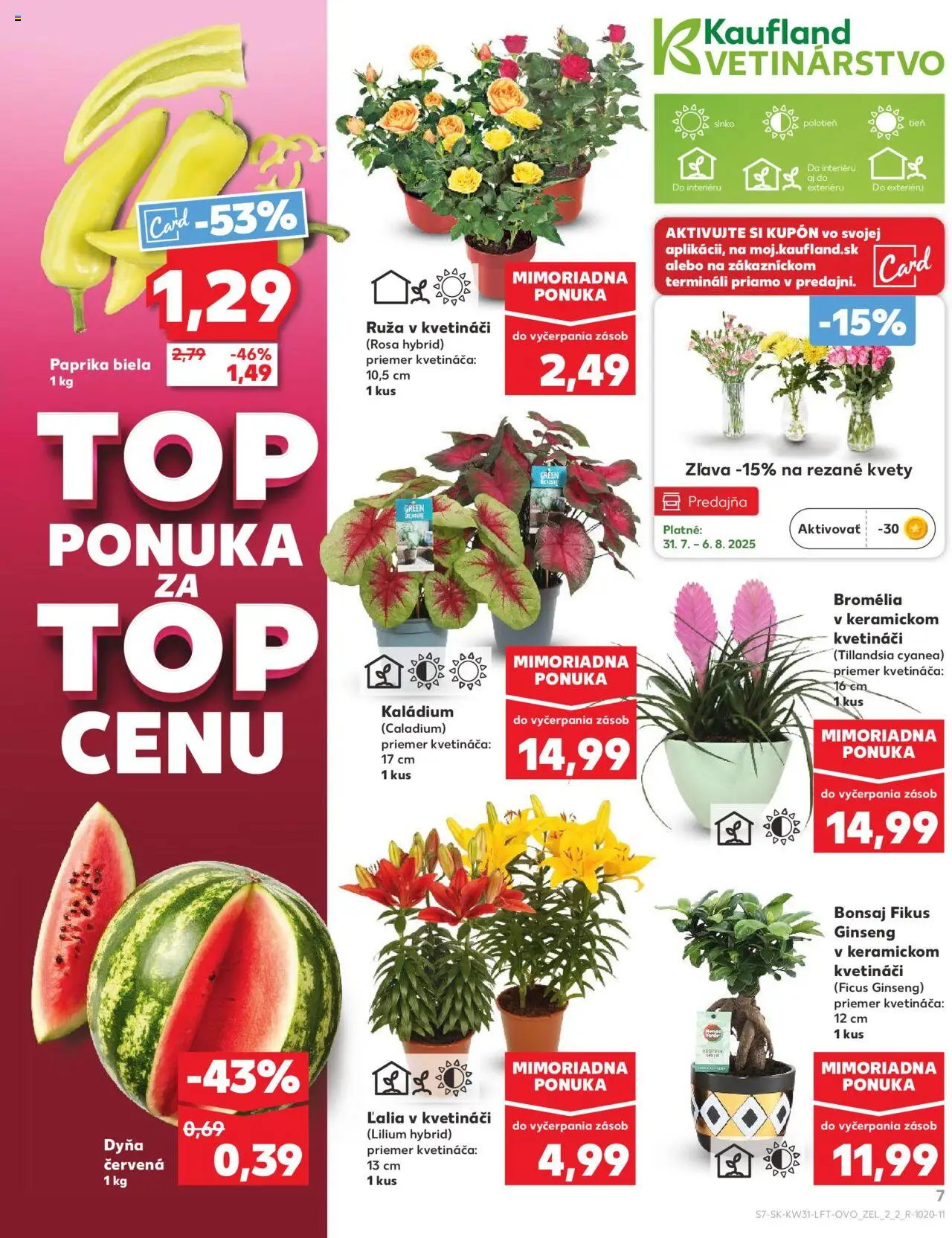 Nové Kaufland akcie – leták je platný od 31.07.2025 | Strana: 7 | Produkty: Paprika, Kvety, Melón