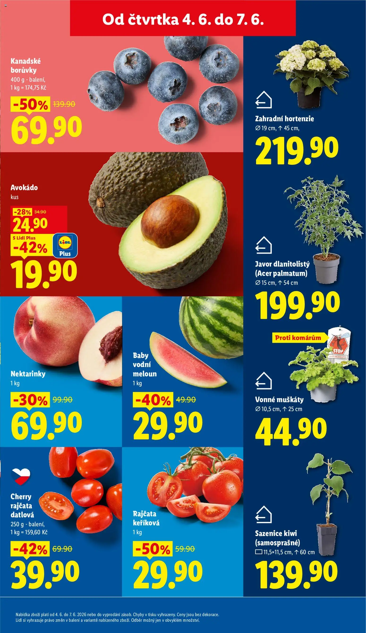Lidl leták od 04.06.2026 | Strana: 11 | Produkty: Meloun, Muškáty, Borůvky, Avokádo