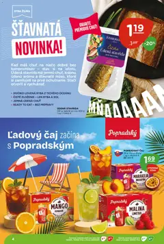 Terno leták platný od 11.06.2026 | Strana: 4
