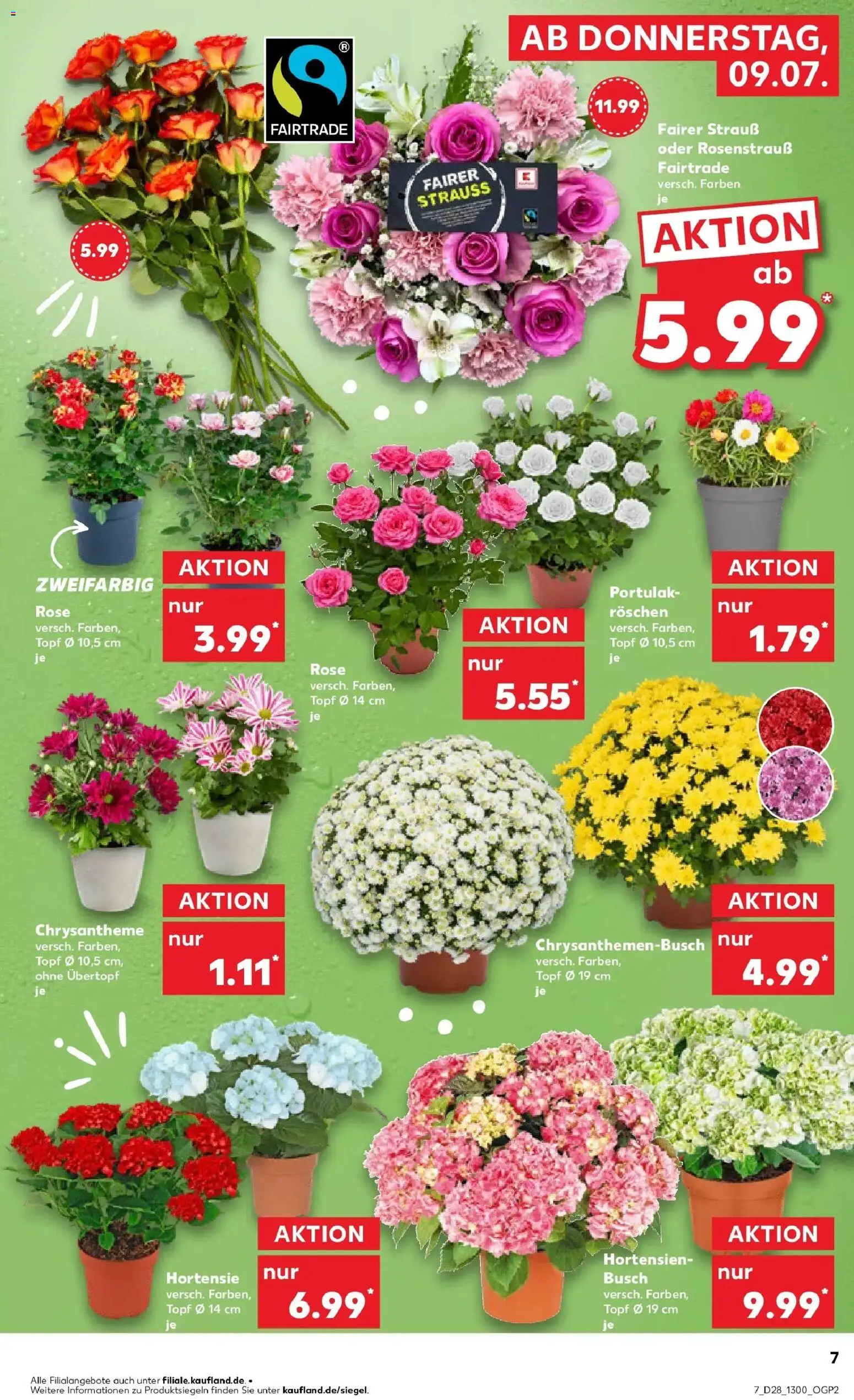 Kaufland Prospekt Pfullingen – gültig ab 09.07.2026 | Seite: 7 | Produkte: Hortensie
