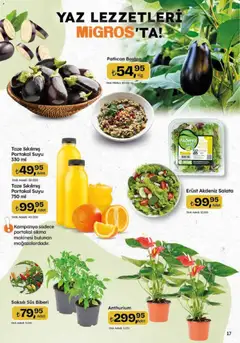 23 Temmuz 2026 tarihinden itibaren geçerli olan Migros kataloğu önizlemesi | Sayfa: 17 | Ürünler: Portakal, Salata, Patlıcan