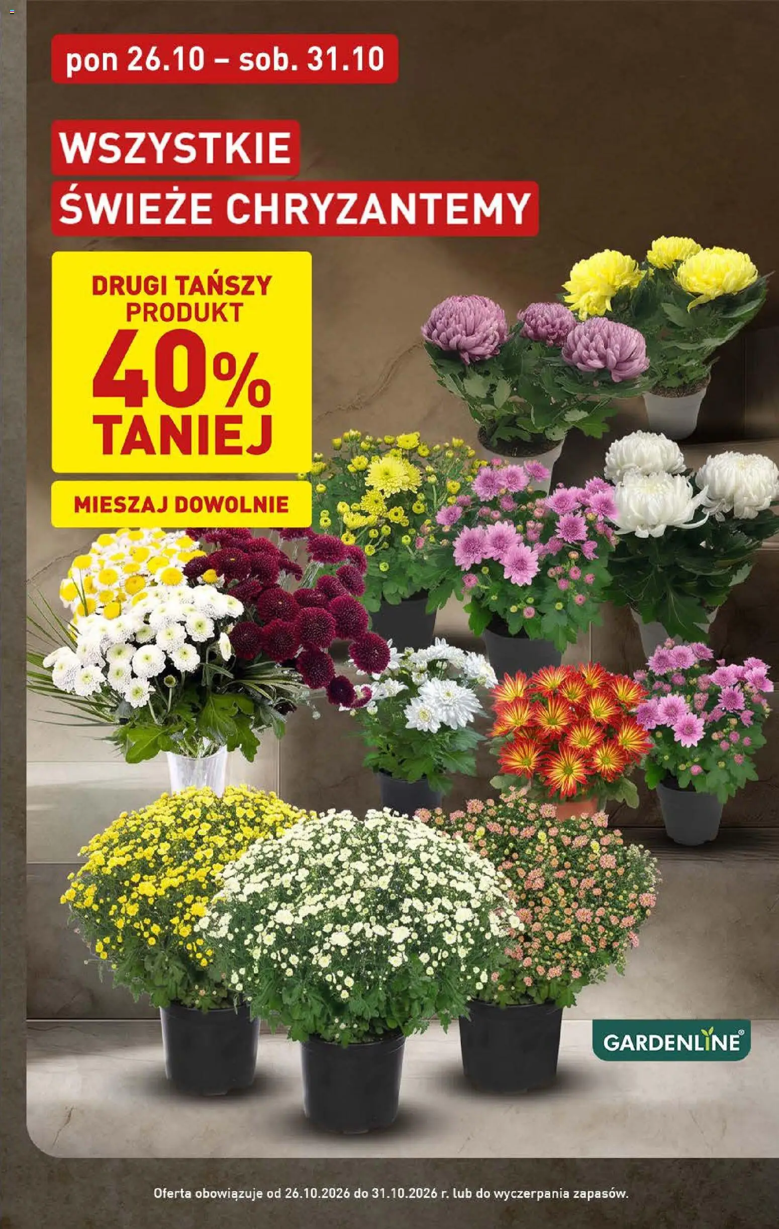 Aldi gazetka od 26.10.2026 | Strona: 3