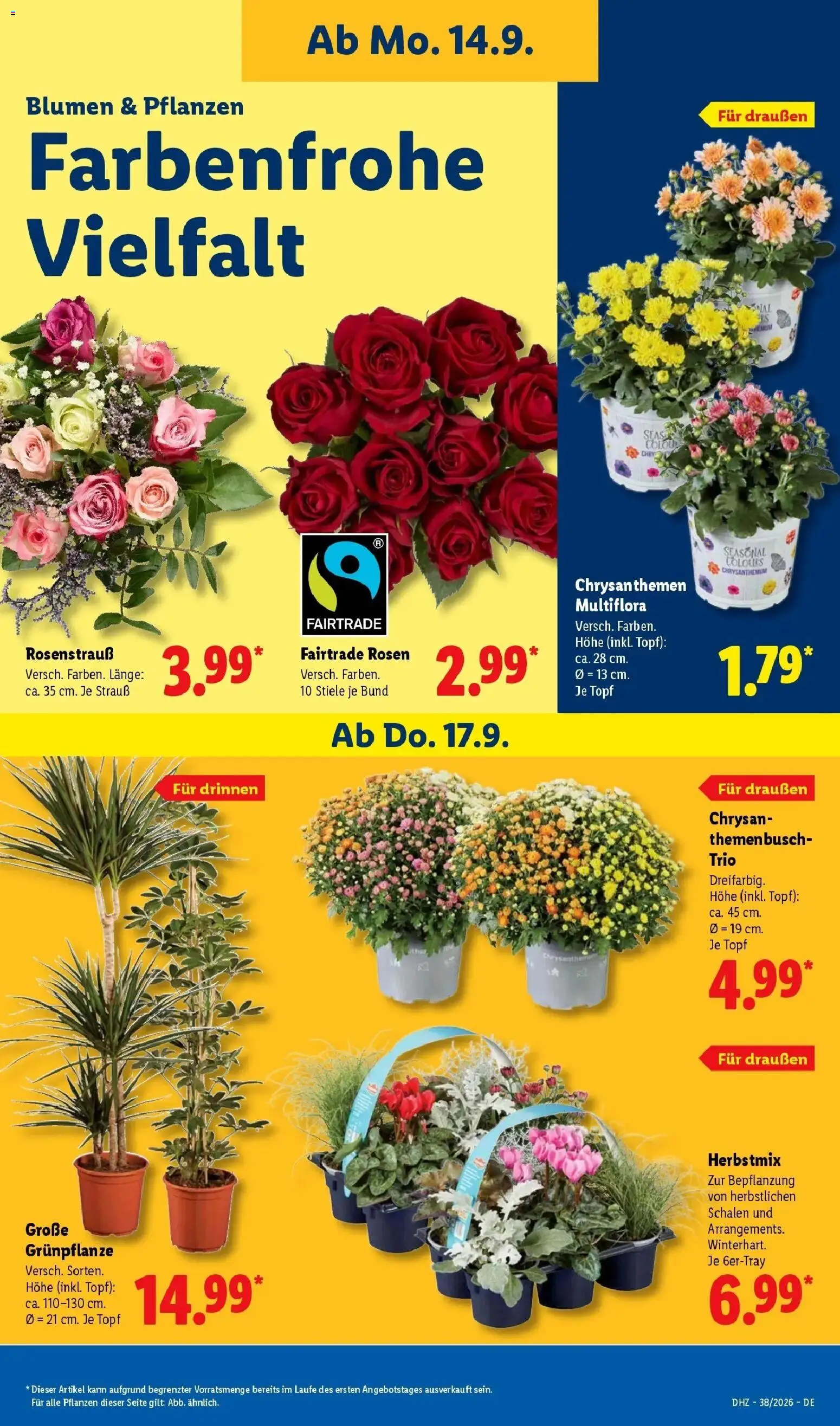 Lidl Prospekt Hof-innenstadt (ab 14.09.2026) zum Blättern » Angebote | Seite: 23