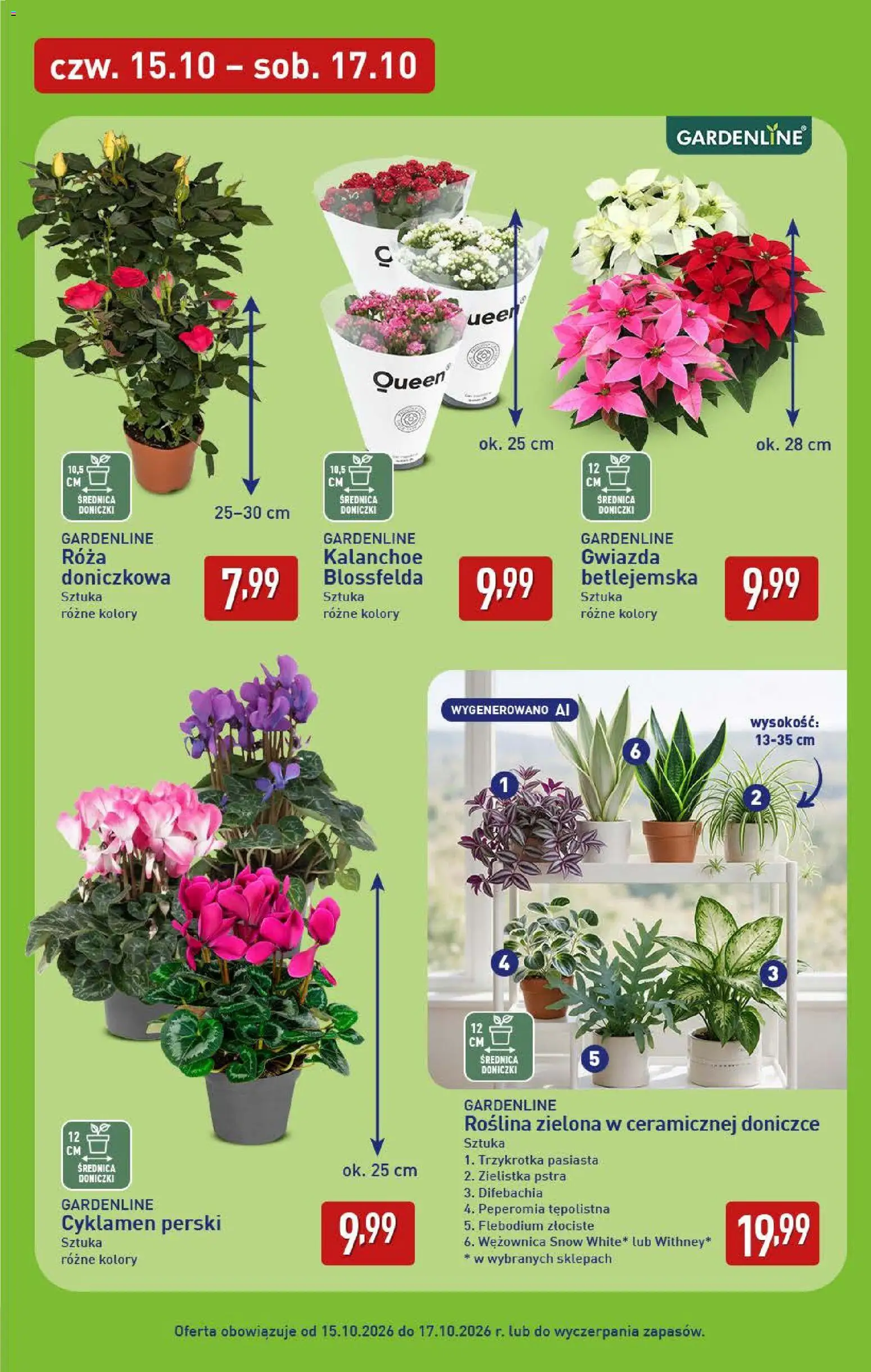 Aldi gazetka - Oferta weekendowa od 15.10.2026 | Strona: 7 | Produkty: Doniczki, Kalanchoe