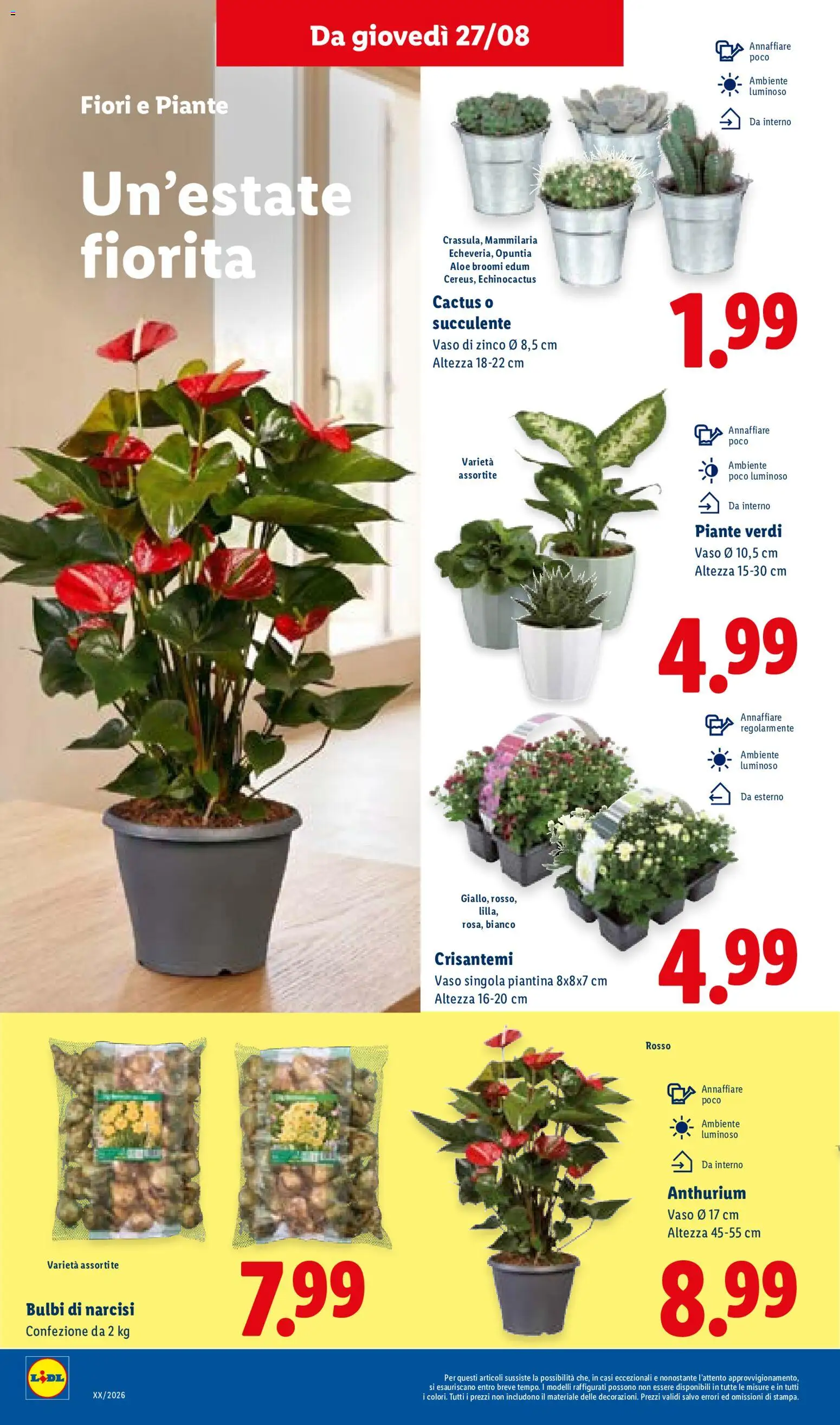 Volantino Lidl del 27/08/2026 | Pagina: 32