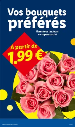 LIDL - Prévisualisation de LIDL catalogue valide à partir de 27/08/2026 | Page: 27