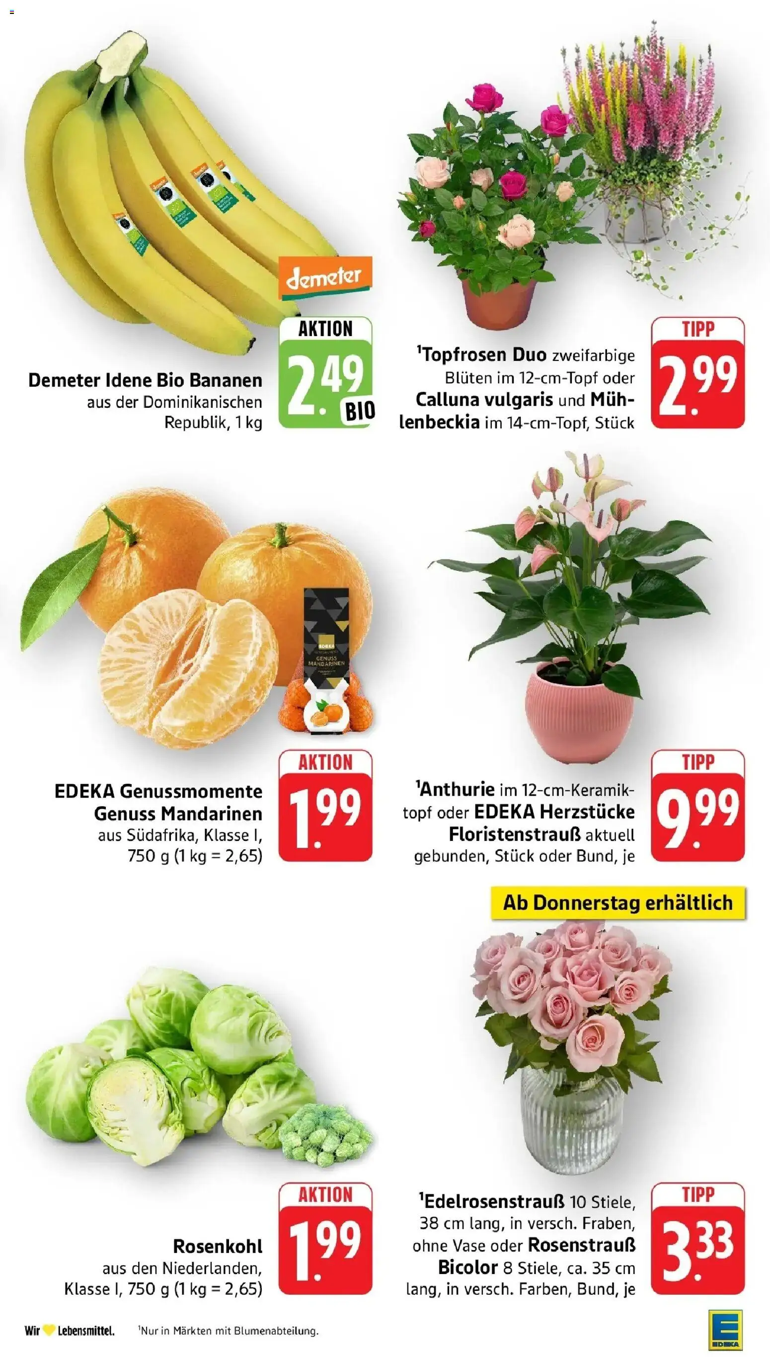 Edeka Prospekt Beckingen (ab 05.10.2026) » Angebote Online | Seite: 15 | Produkte: Vase, Bananen, Mandarinen