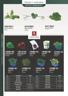 Vista previa Makro Especial Carta y Menú válido desde el 06/07/2026 | Página: 70 | Productos: Χοιρινό παϊδάκι, Bandeja, Caja