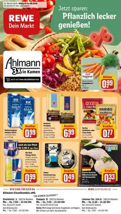 Rewe Prospekt Kamen ab 24.08.2026 gültig