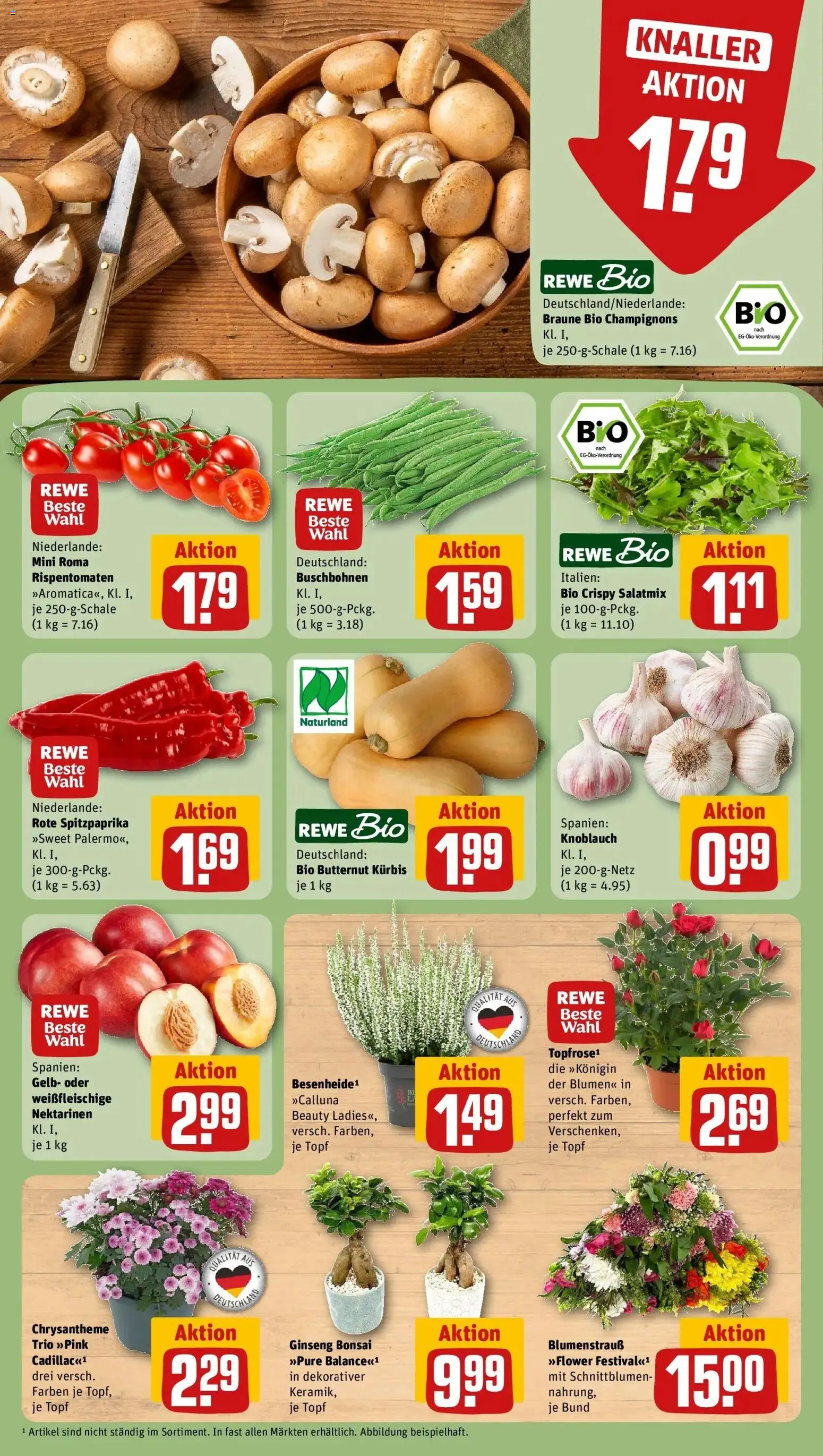REWE Prospekt ab 31.08.2026 zum Blättern » Angebote | Seite: 7 | Produkte: Nektarinen, Blumen, Champignons, Kürbis