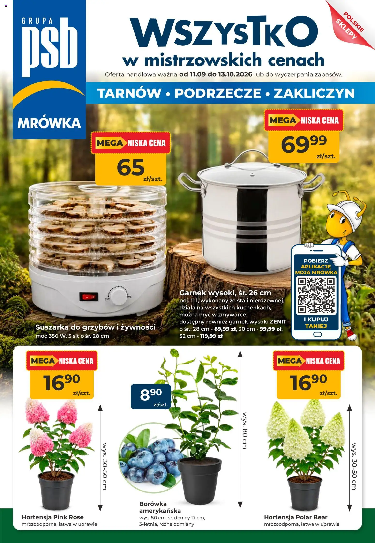Mrowka Piątek, 11 Września Najlepsze Oferty