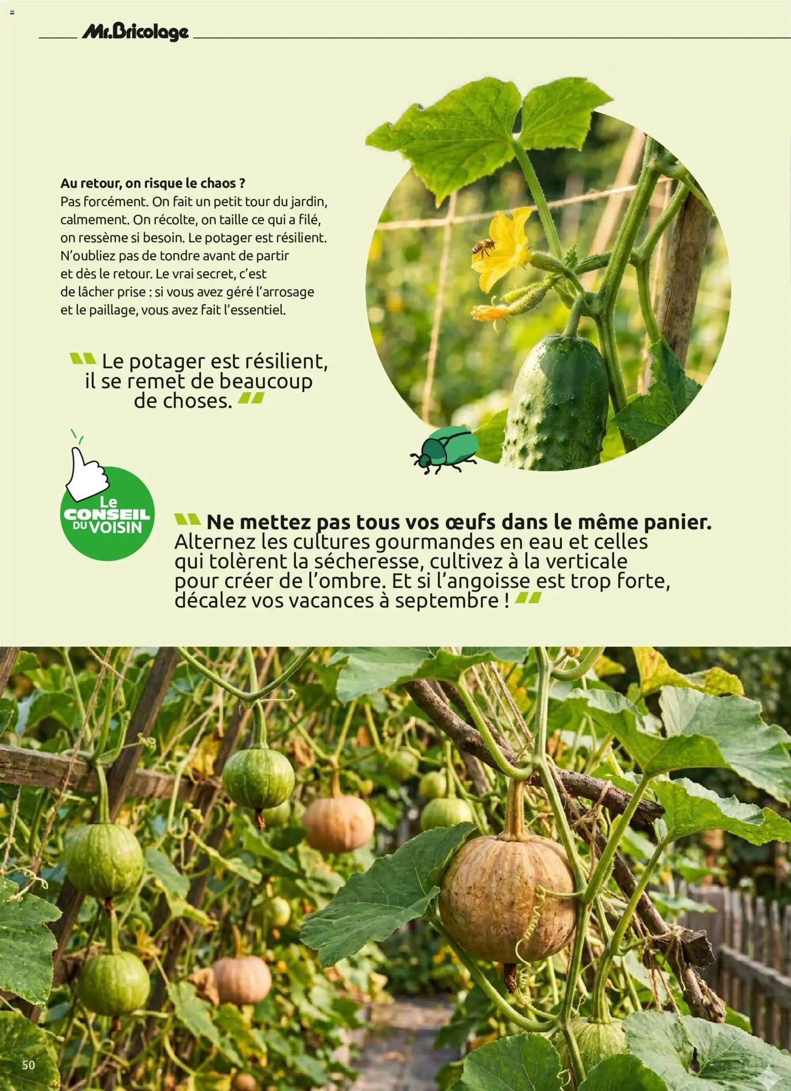 {H1} | Page: 50 | Produits: Le potager, Potager, Prise, Œufs