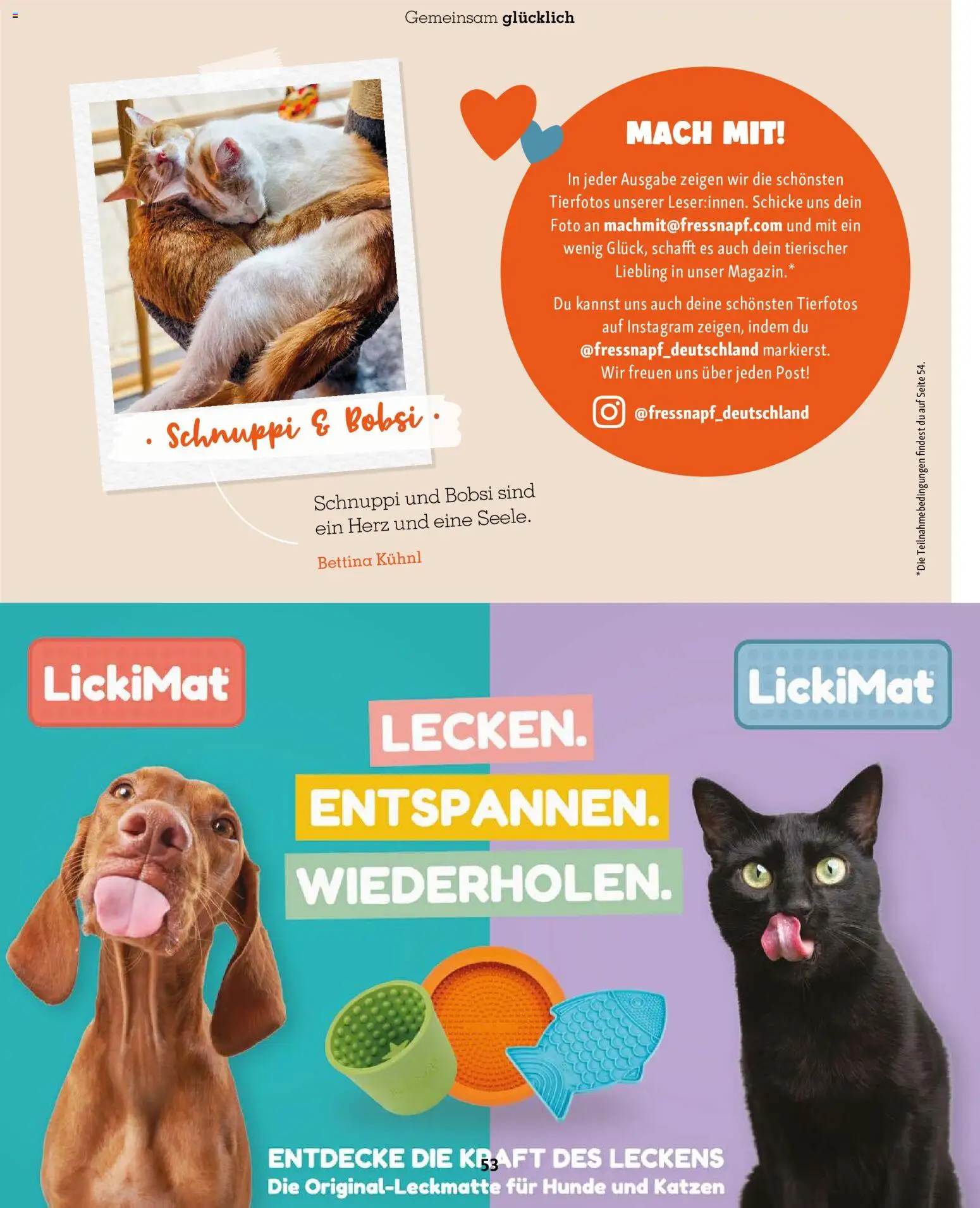 Fressnapf Friends Magazin – gültig ab 01.09.2026 | Seite: 53 | Produkte: Magazin