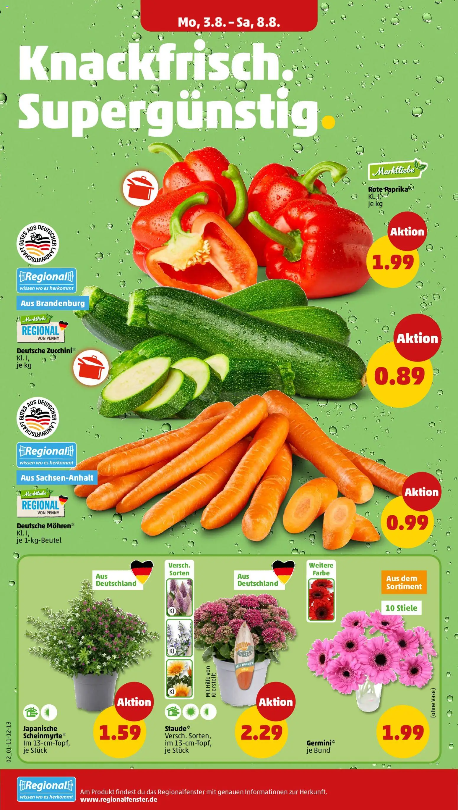 Penny Prospekt – gültig ab 03.08.2026 | Seite: 4 | Produkte: Vase, Mohren, Zucchini