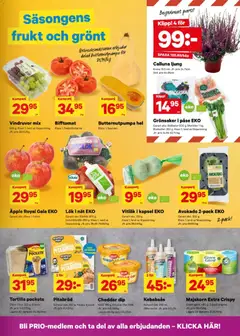 City Gross erbjudanden - Förhandsvisning av reklamblad från butik City Gross aktuell från 29/08/2026 | Sida: 3 | Produkter: Kruka, Morötter, Rödlök, Vitlök
