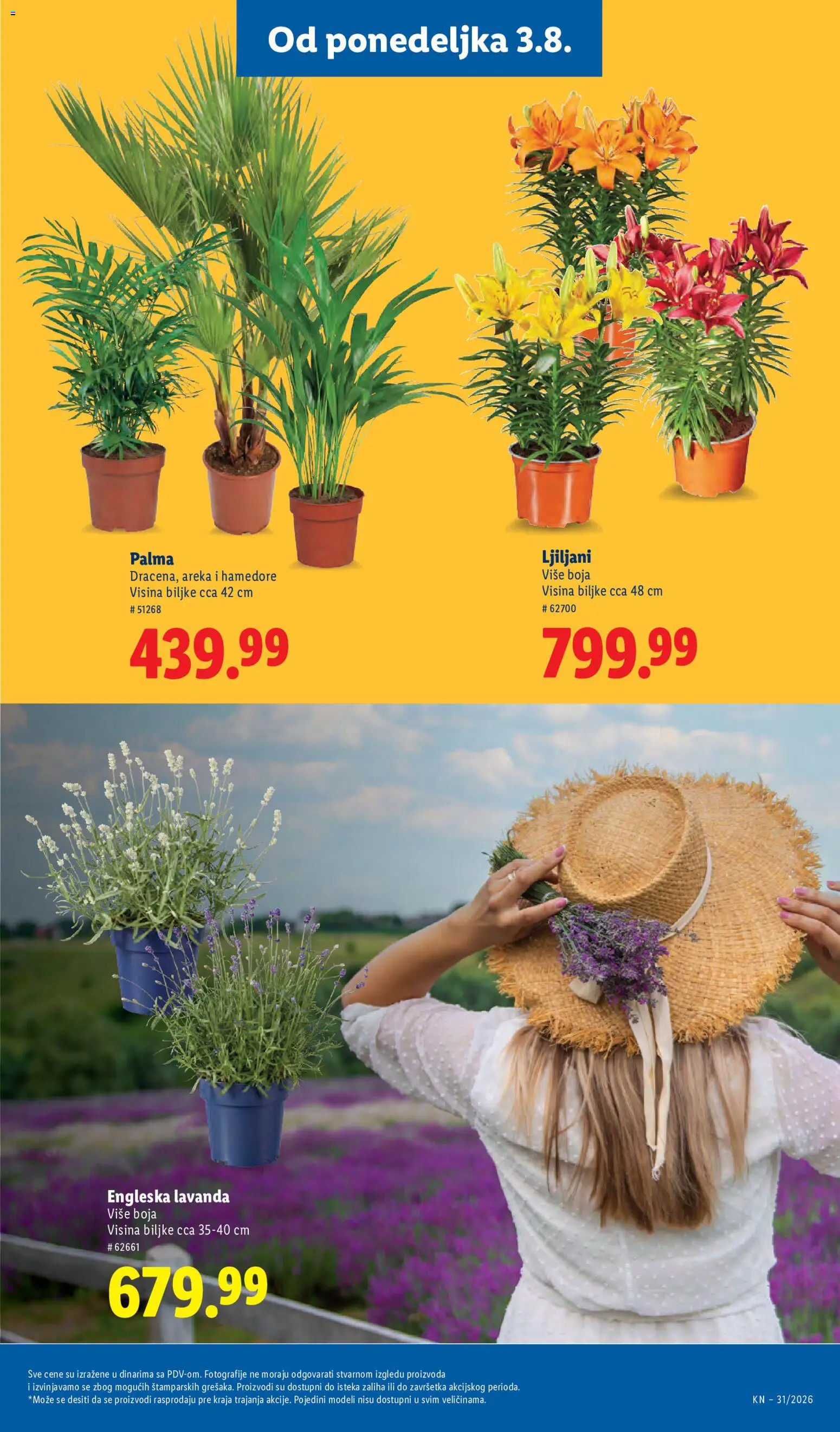 Lidl katalog - važi od 30.07.2026 | Strana: 71