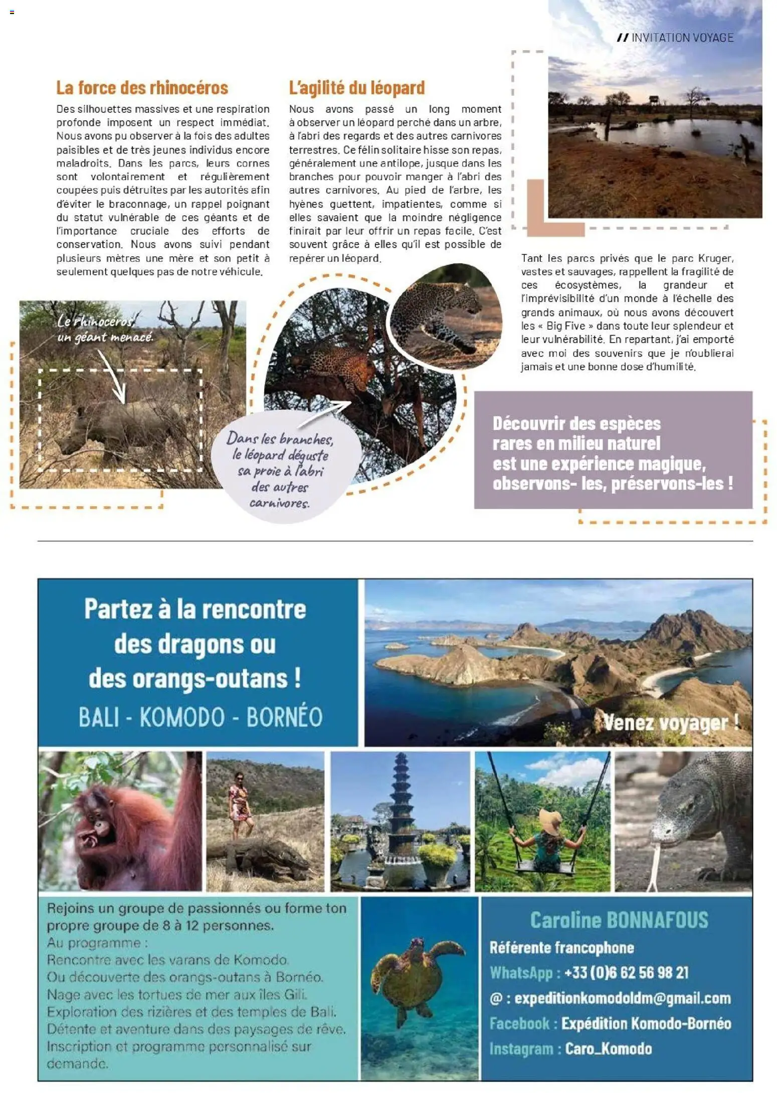 {H1} | Page: 51