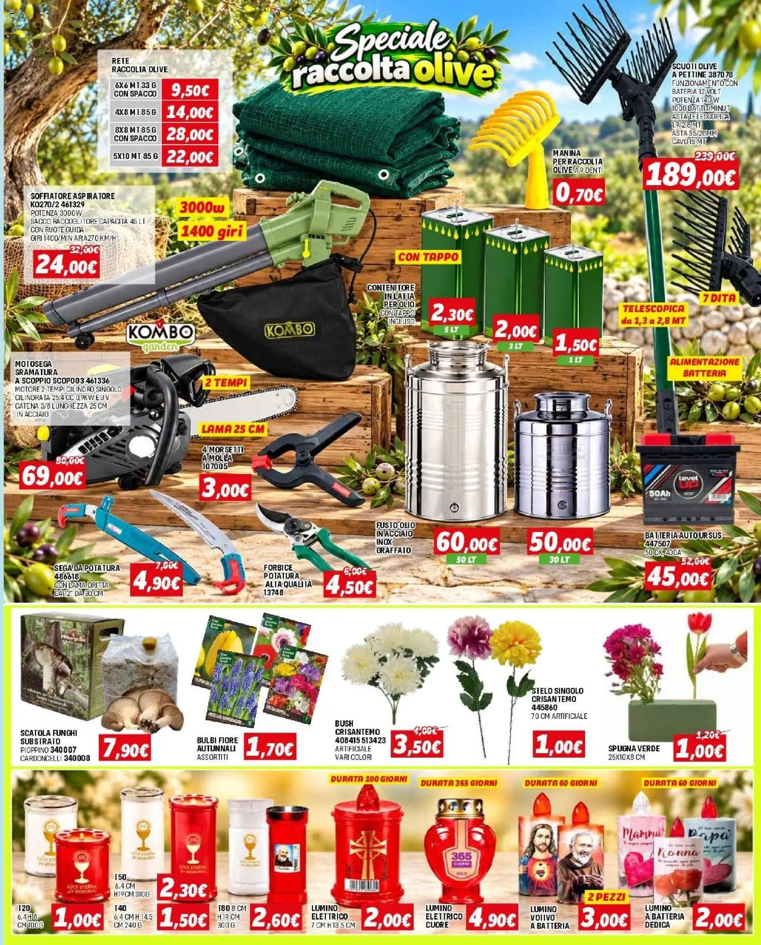 Volantino Orizzonte del 08/10/2026 | Pagina: 13 | Prodotti: Spugna, Funghi, Contenitore, Batteria