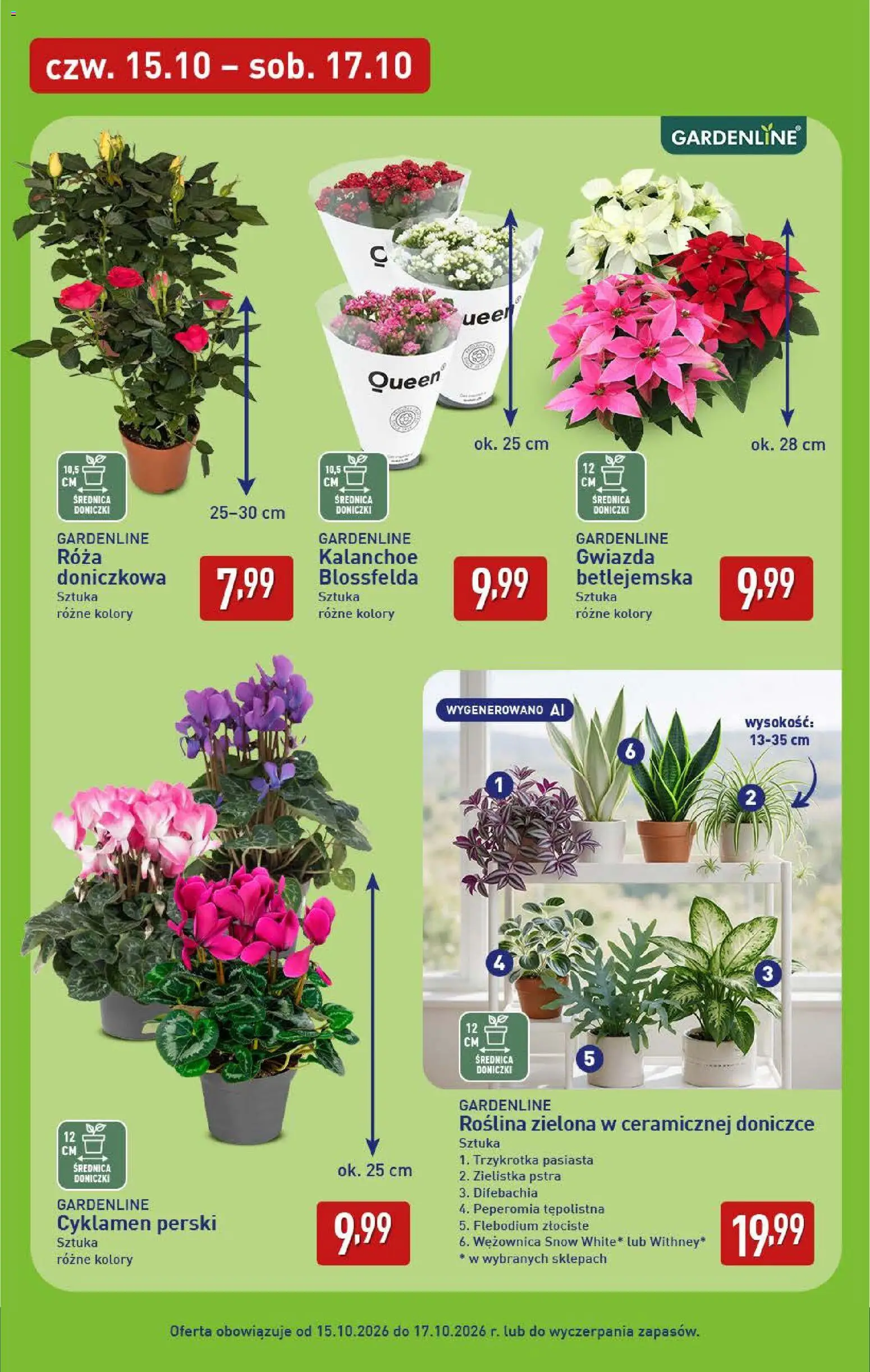 Aldi gazetka od 12.10.2026 | Strona: 45 | Produkty: Doniczki, Kalanchoe