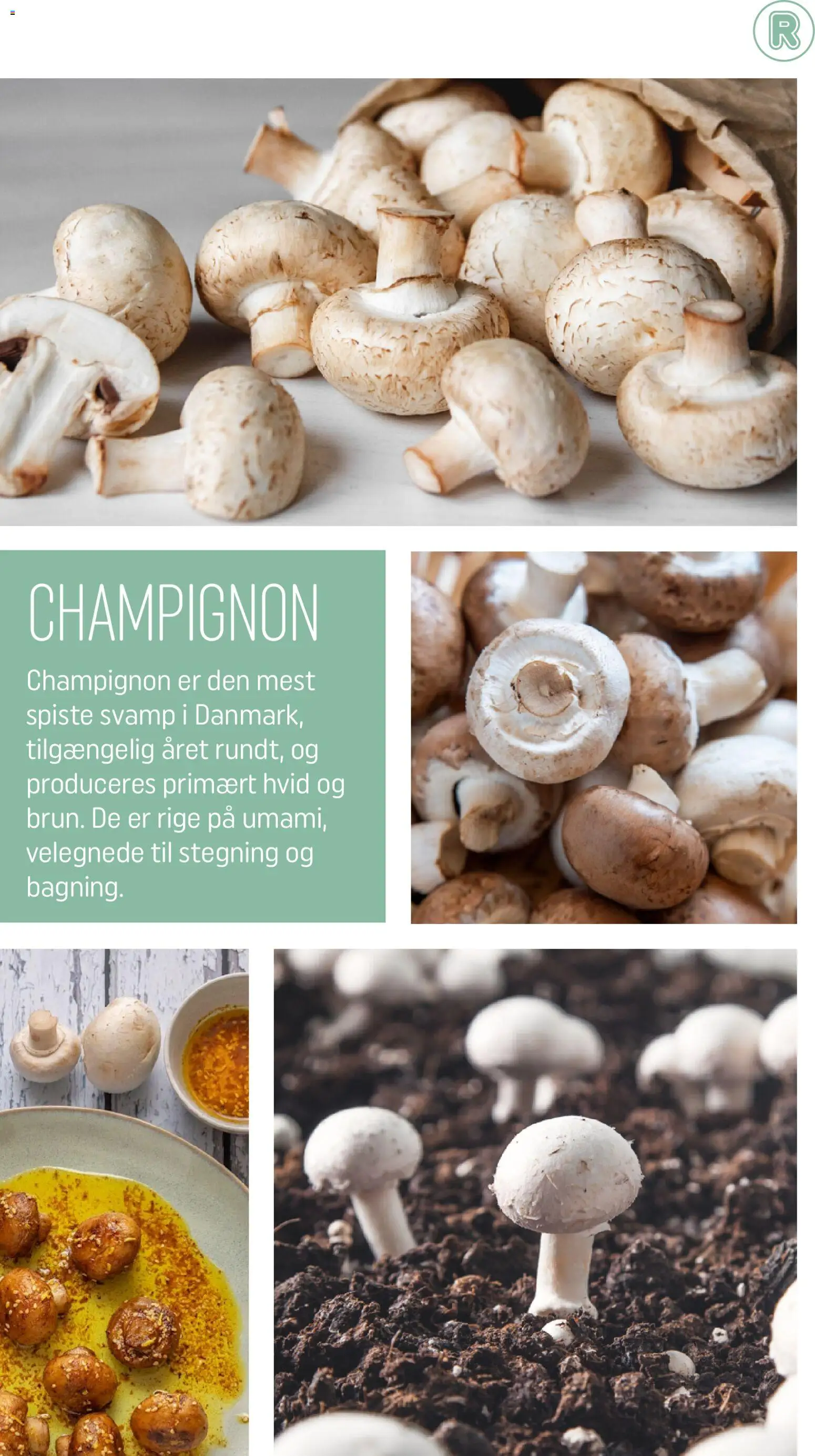 Rema 1000 tilbudsavis – gyldig fra 28/02/2026 | Side: 6 | Produkter: Champignon, Svamp