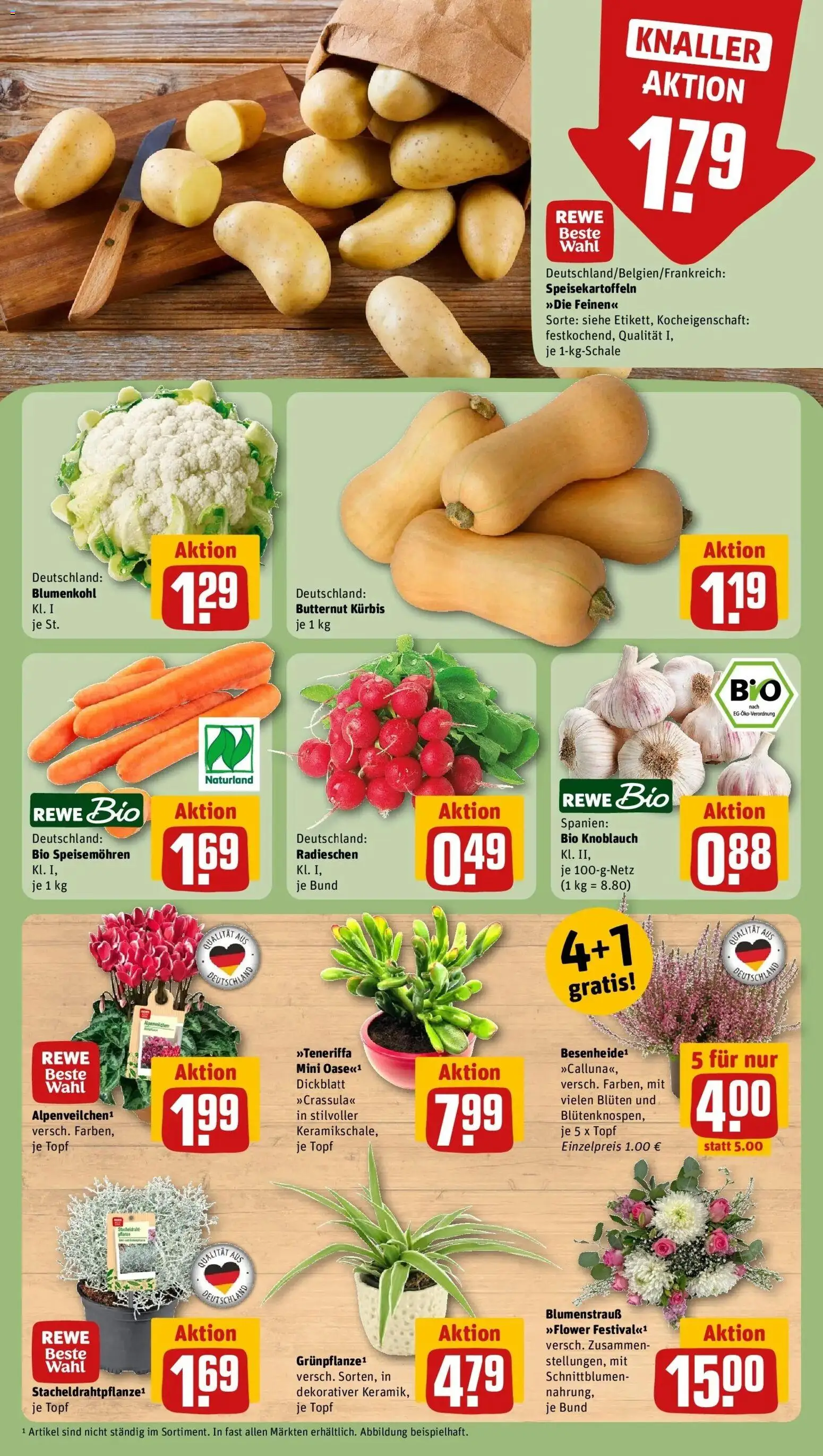 REWE Prospekt ab 05.10.2026 zum Blättern » Angebote | Seite: 9 | Produkte: Knoblauch, Kürbis, Blumenkohl
