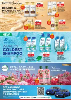 Preview of Lulu Hypermarket World Of Beauty - Dubai & Northern Emirates valid from 22.05.2026 | Page: 8 | Products: Βοδινό κρέας, Κουτί παπουτσιών, Hundekiks, Κρέμα σώματος