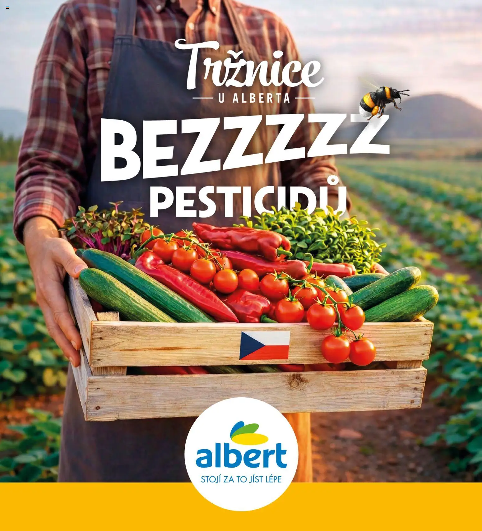 Albert magazín od 01.07.2026 | Strana: 2 | Produkty: Zelenina