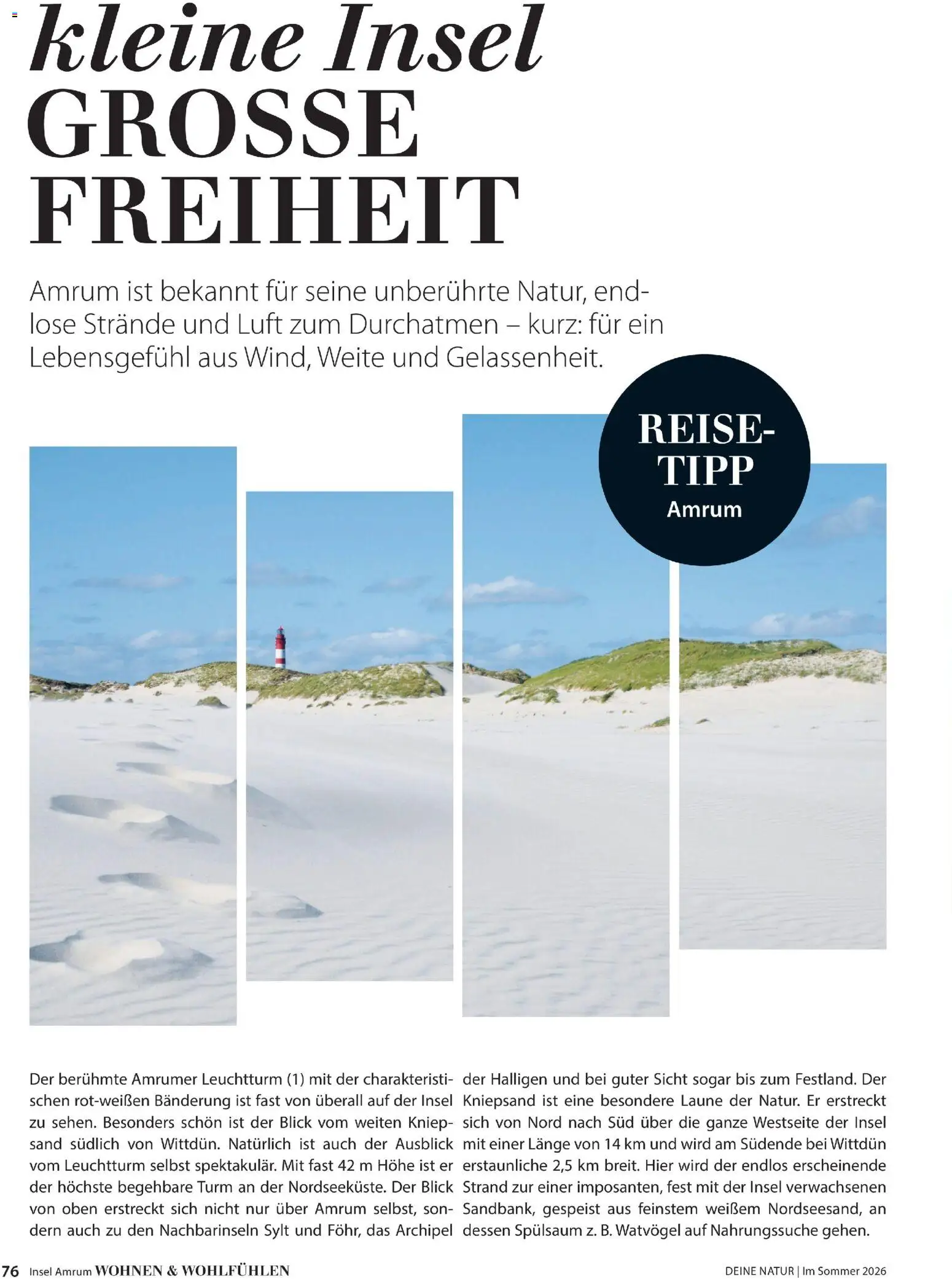 Dehner Prospekt 	 – gültig ab 17.04.2026 | Seite: 76