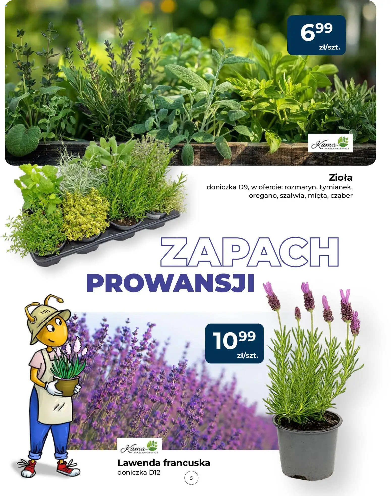Mrówka gazetka od 14.05.2026 | Strona: 5