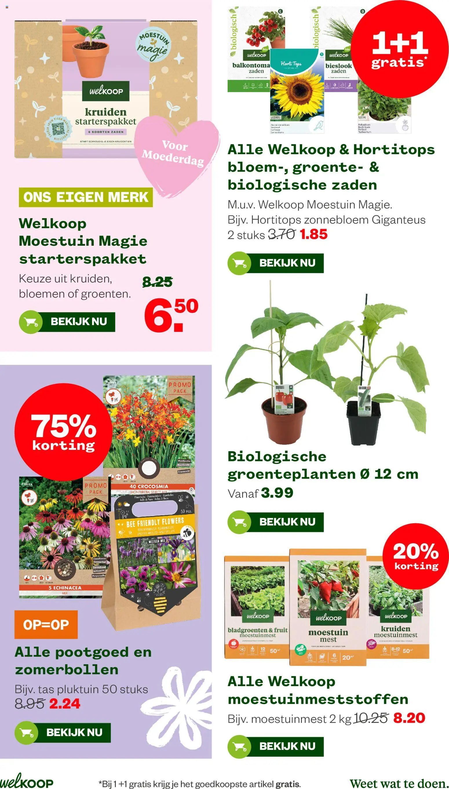 {H1} | Pagina: 11 | Producten: Bloemen