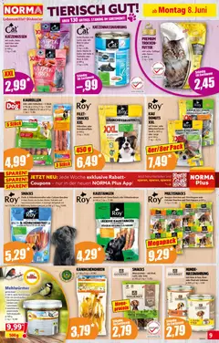 Norma Flugblatt ab 08.06.2026 gültig | Seite: 9 | Produkte: Getreide, Kissen, Schinken, Reis