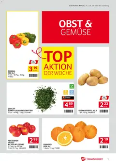 Transgourmet Zustellaktion ab 20.07.2026 gültig | Seite: 13 | Produkte: Gemüse, Obst, Orangen