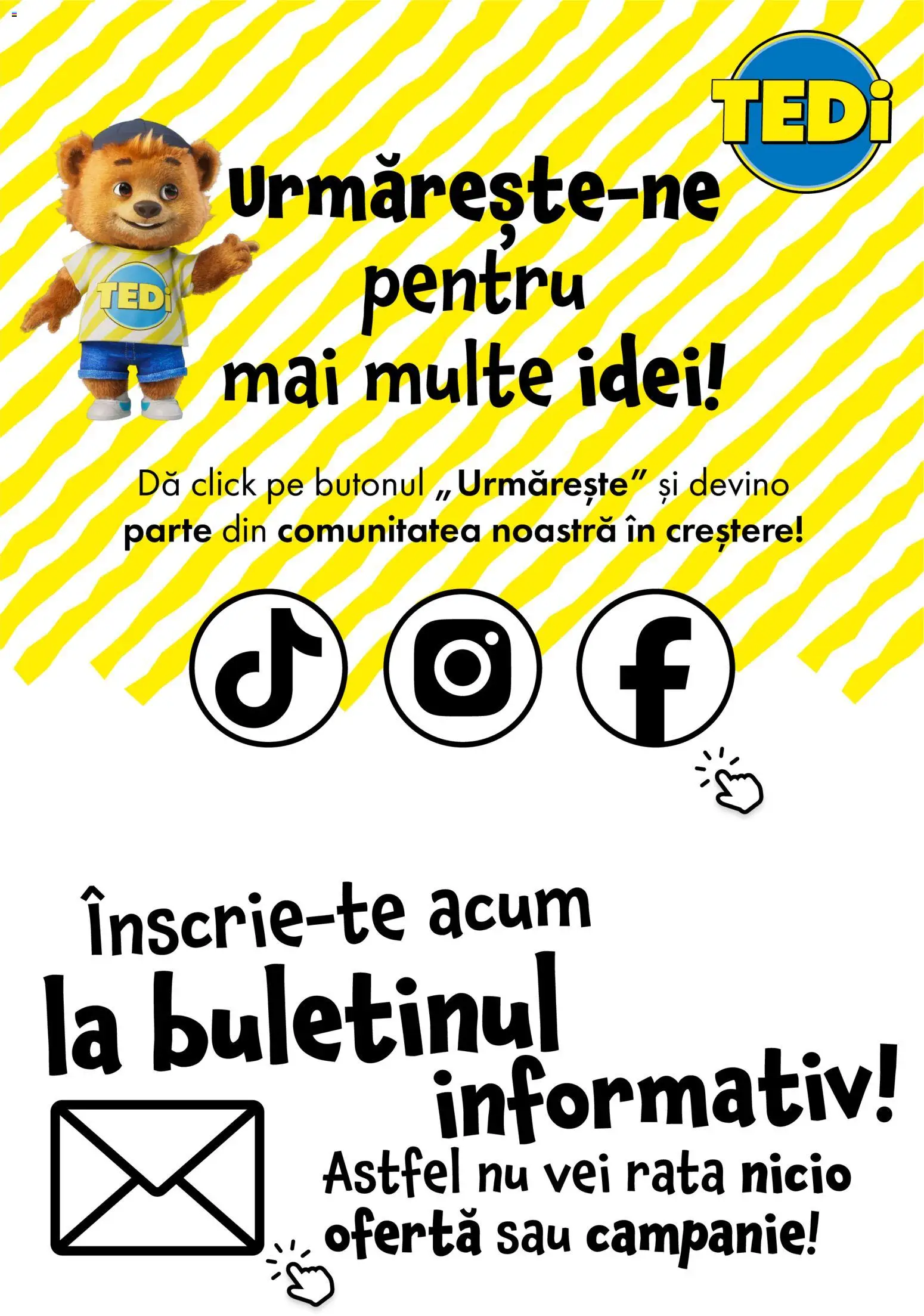 Noul catalog TEDi – valabil de la 14.08.2026 | Pagină: 20 | Produse: Rață