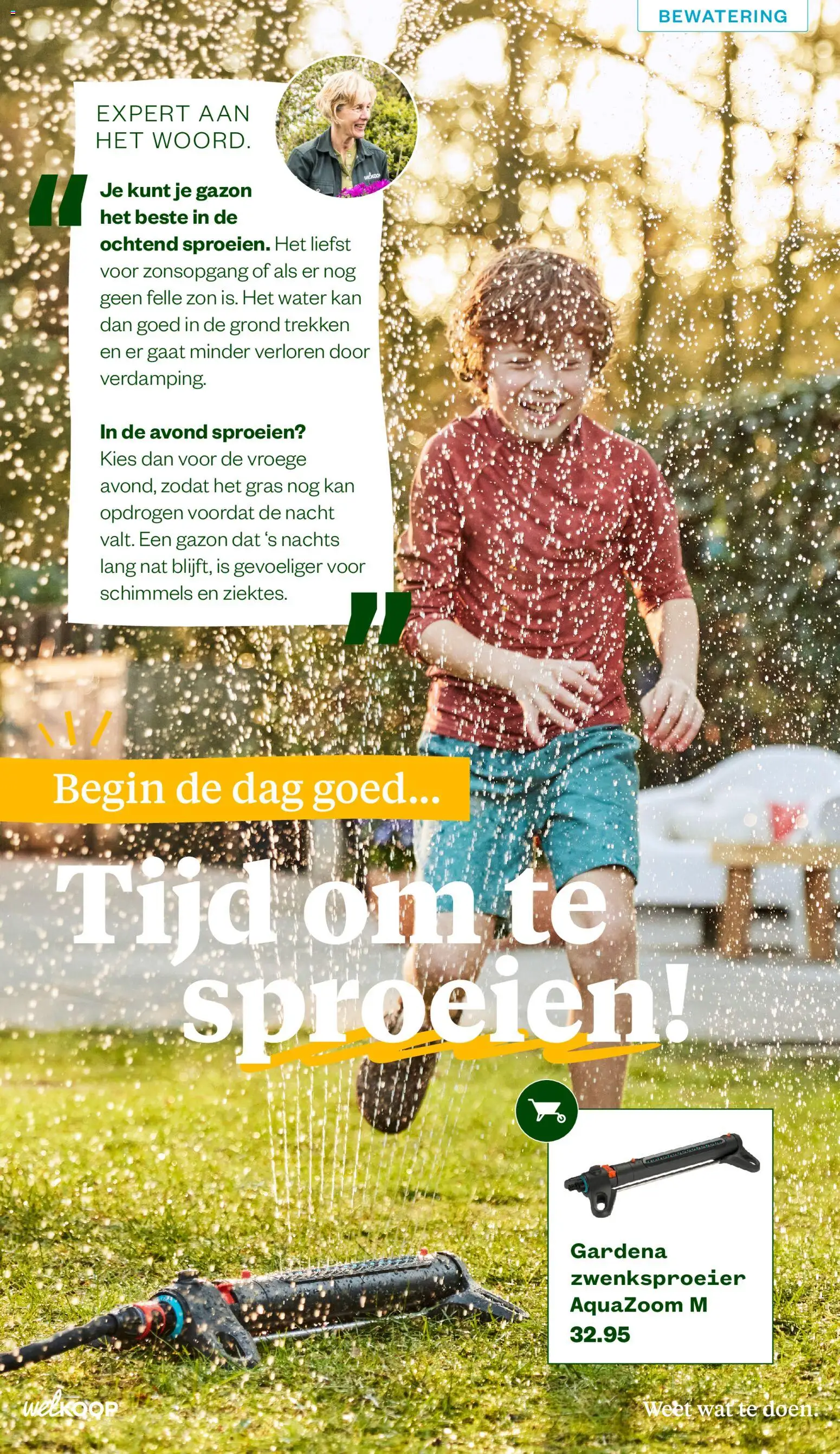 {H1} | Pagina: 6 | Producten: Kan, Festék