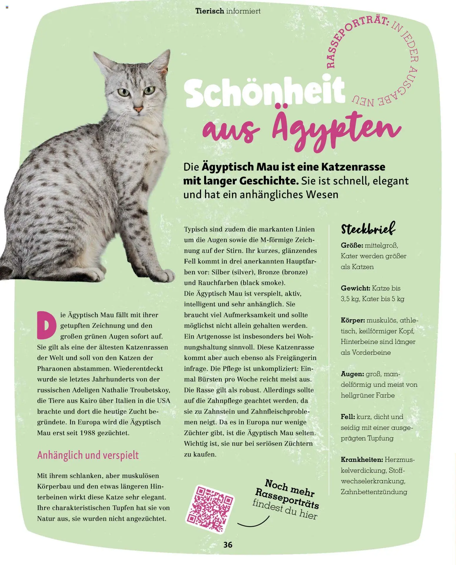 Fressnapf Friends Magazin – gültig ab 01.07.2026 | Seite: 36 | Produkte: Gewicht