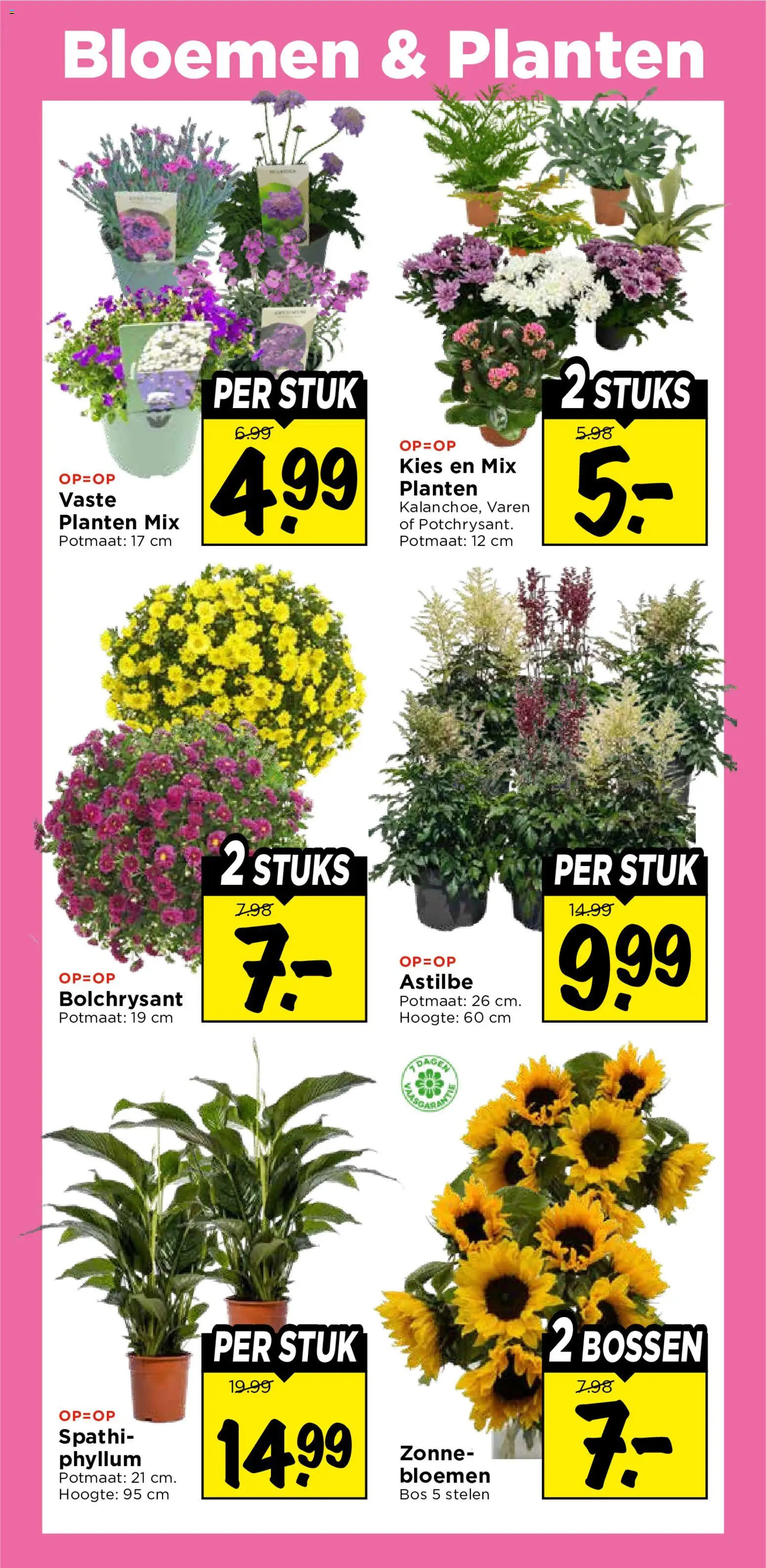 {H1} | Pagina: 29 | Producten: Bloemen