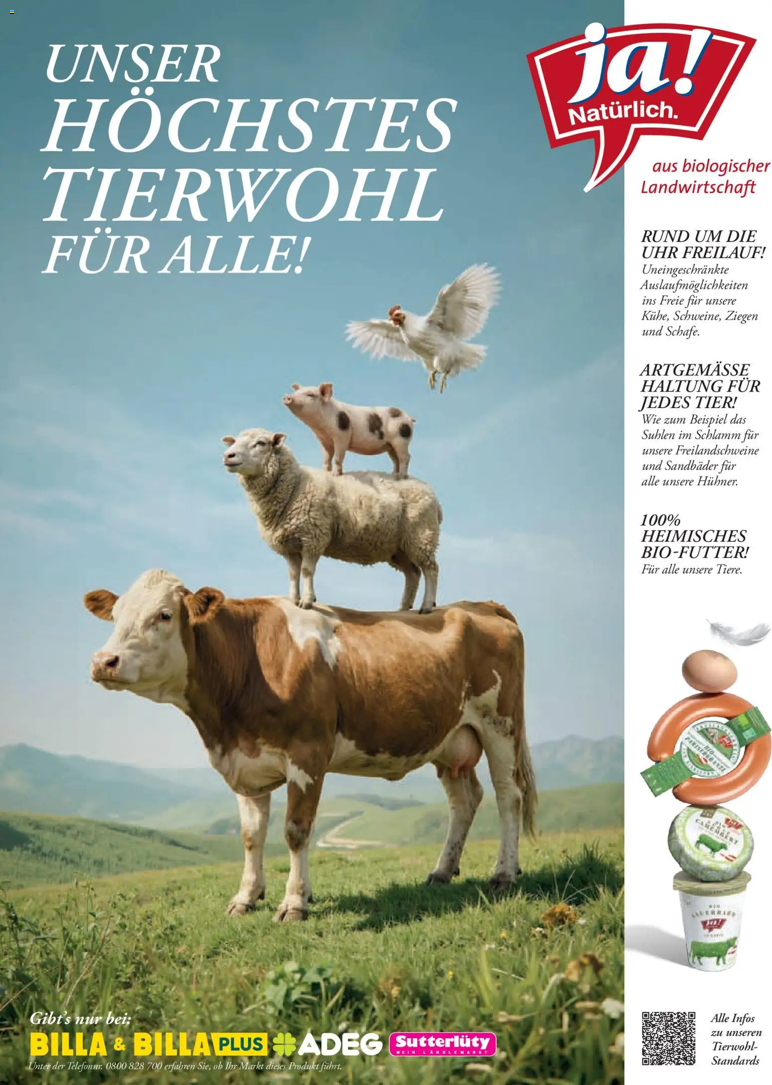 Billa Frisch Gekocht gültig ab 01.06.2026 | Seite: 100
