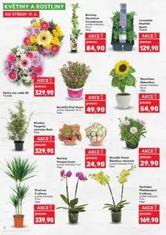 Náhled letáku Kaufland leták od 17.06.2026 | Strana: 12