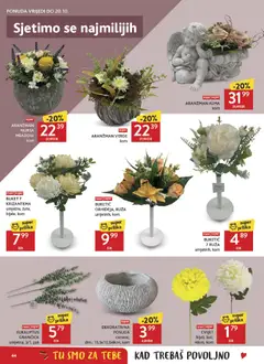 Konzum Katalog - Pregled kataloga iz trgovine Konzum, vrijedi od 07.10.2026 | Stranica: 44 | Proizvodi: Buket, Ruza