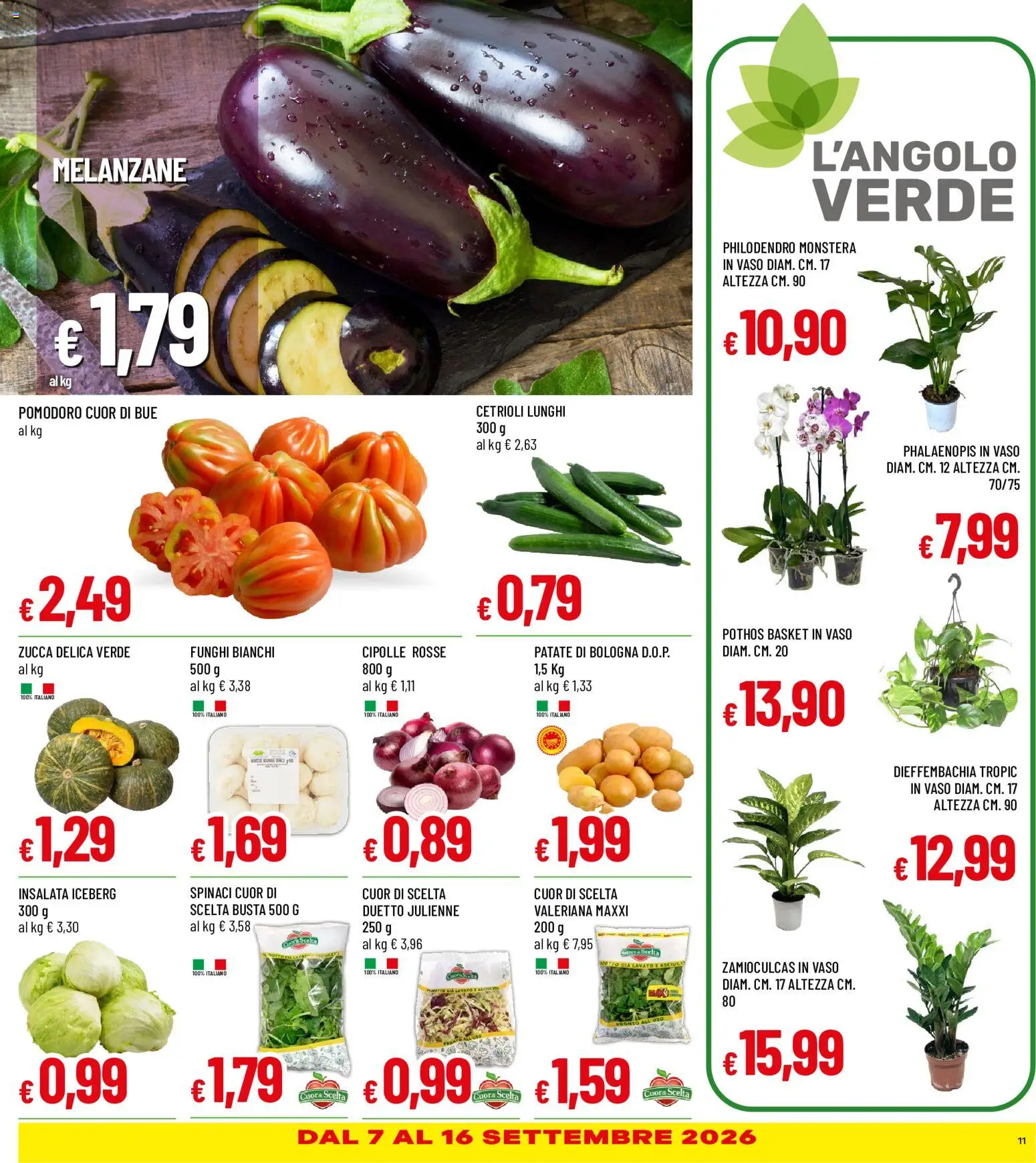 Volantino Galassia del 03/09/2026 | Pagina: 11 | Prodotti: Cipolle, Funghi, Zucca, Vaso