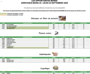 Promocash - Prévisualisation de Promocash Opportunités Marée valide à partir de 22/09/2026