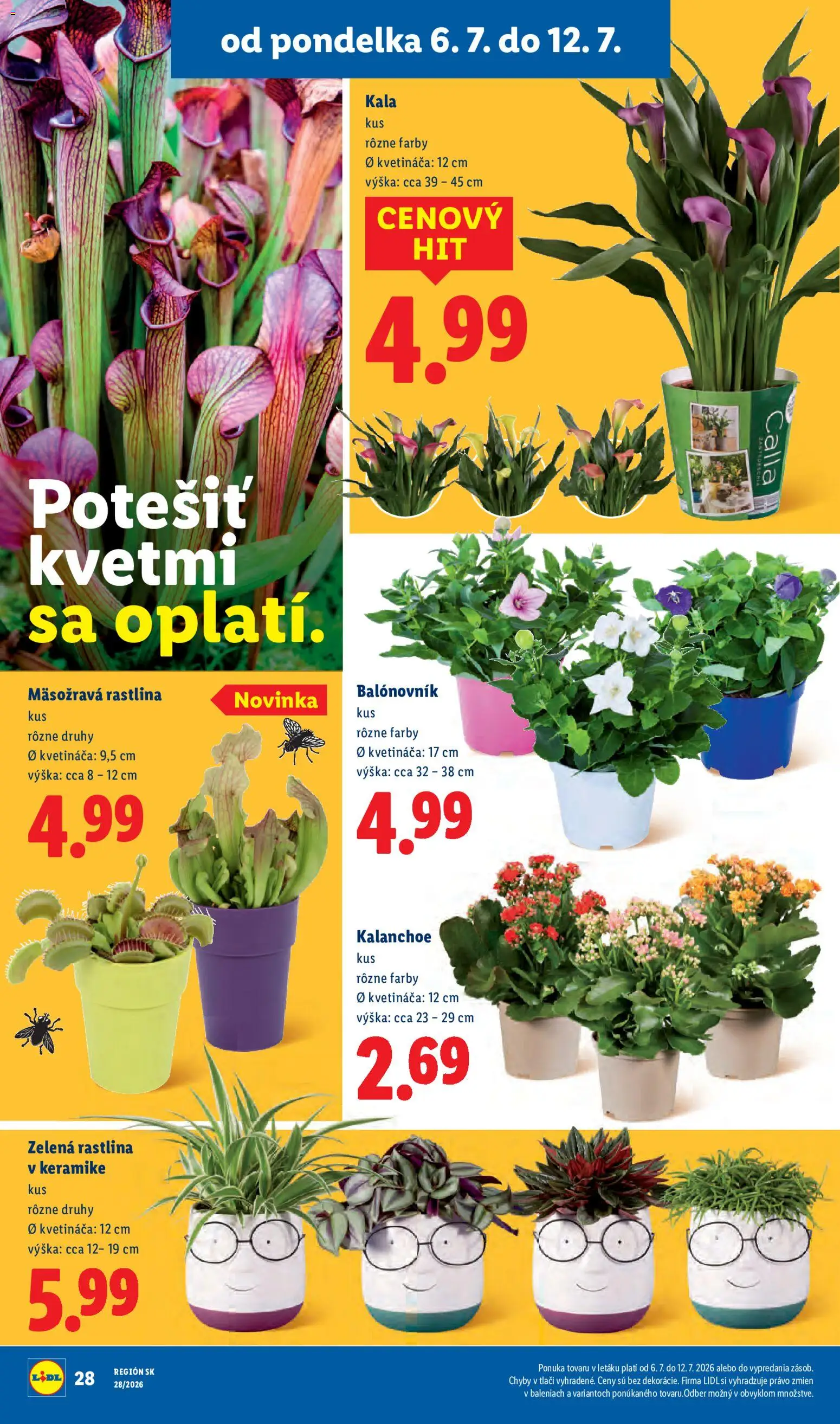 Nové Lidl akcie – leták je platný od 06.07.2026 | Strana: 49