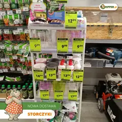 Pogląd oferty "Hipper gazetka" - ważna od 15.05.2026 | Strona: 4 | Produkty: Storczyki, Doniczka, Storczyk, Odżywka