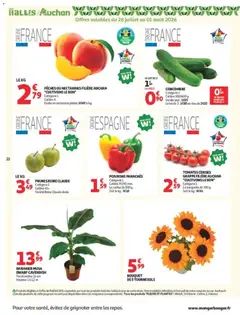 Auchan - Prévisualisation de Auchan prospectus valide à partir de 28/07/2026 | Page: 22