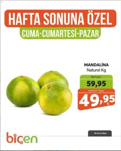 09 Ekim 2026 tarihinden itibaren geçerli olan Biçen Market kataloğu önizlemesi