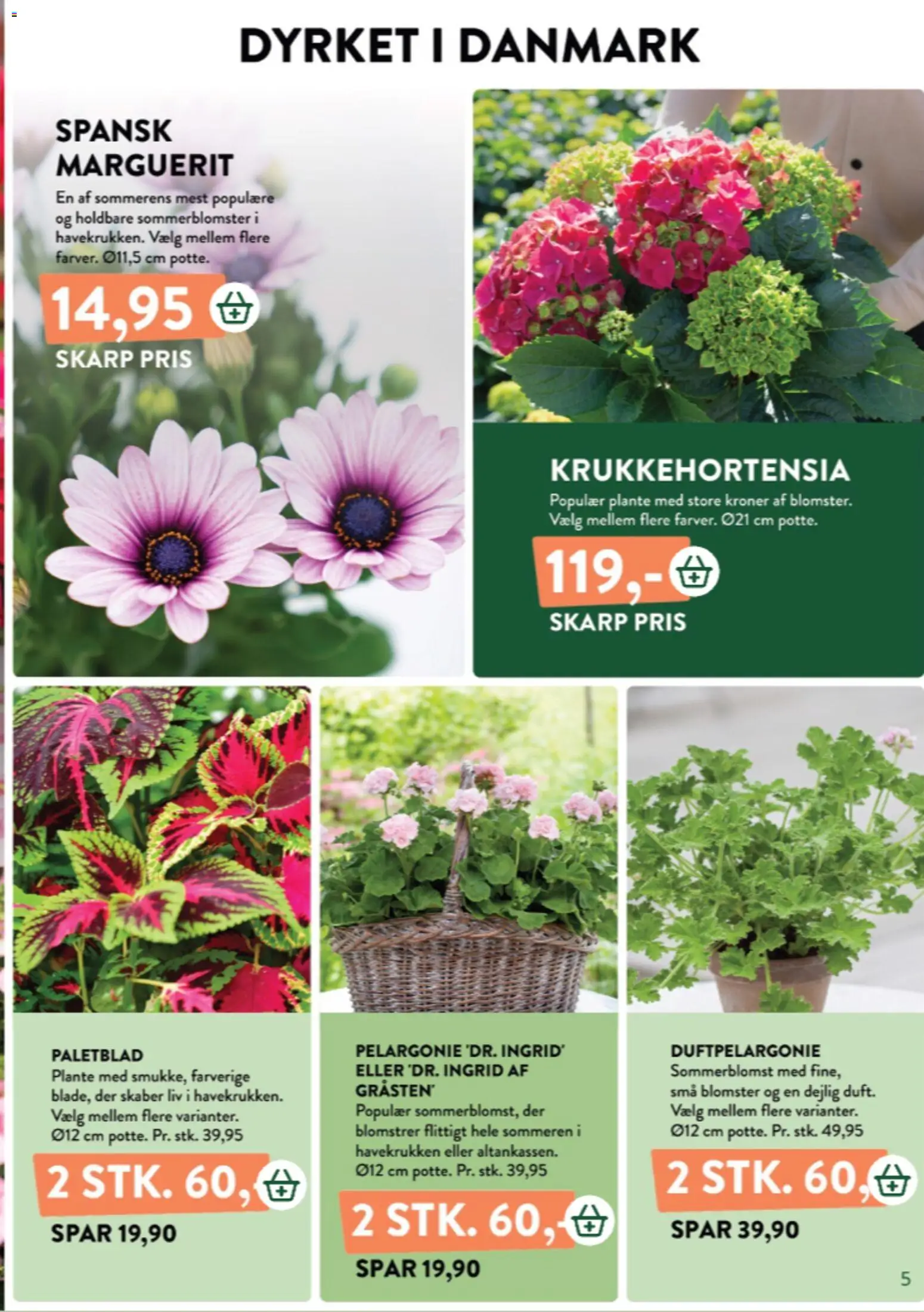 Plantorama tilbudsavis – gyldig fra 22.05.2026 | Side: 5