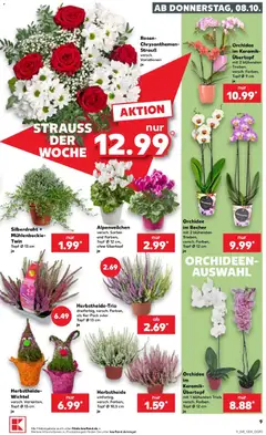 Kaufland Prospekt Herten ab 08.10.2026 gültig | Seite: 17
