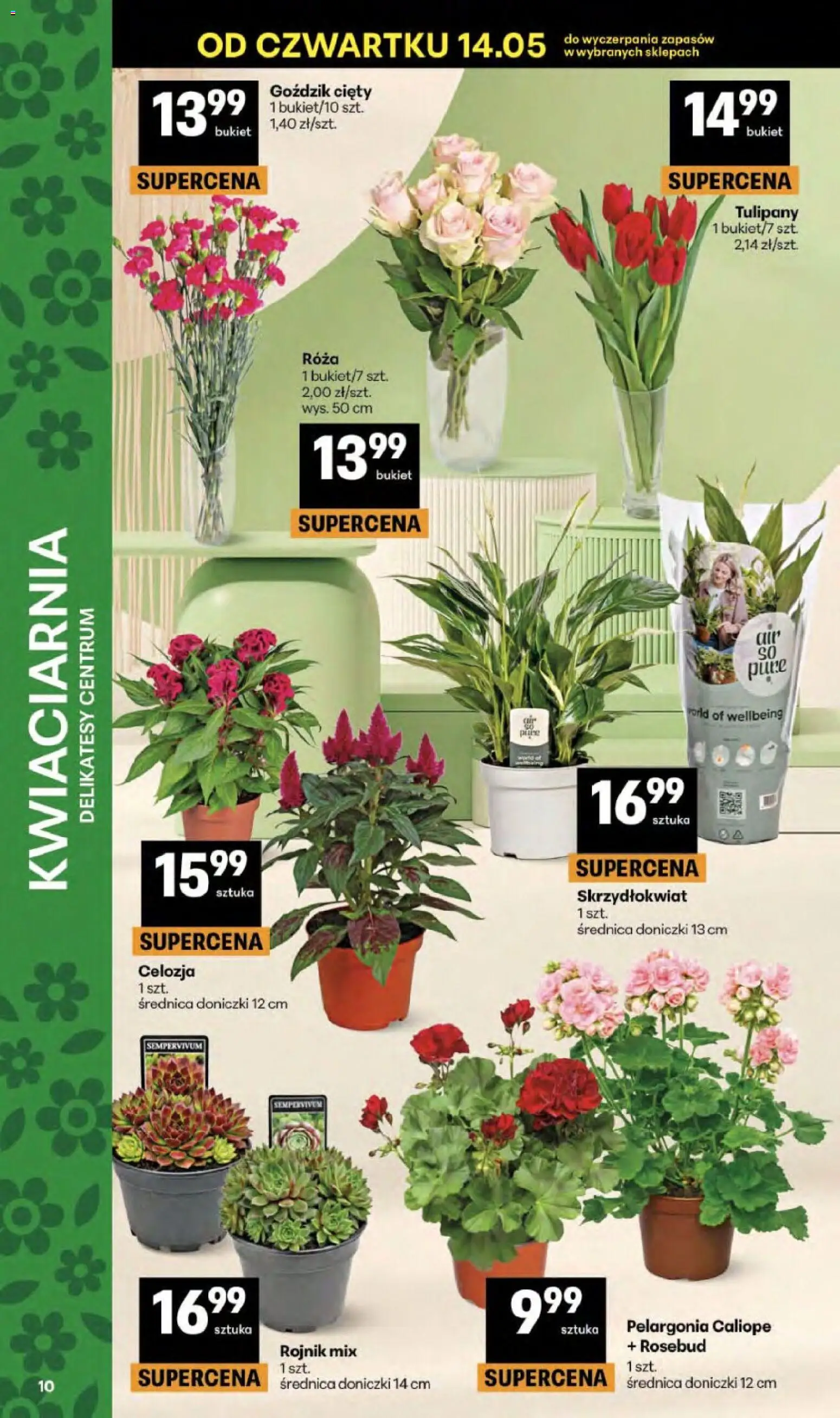 Delikatesy Centrum gazetka od 14.05.2026 | Strona: 10 | Produkty: Goździk, Delikatesy, Doniczki, Tulipany