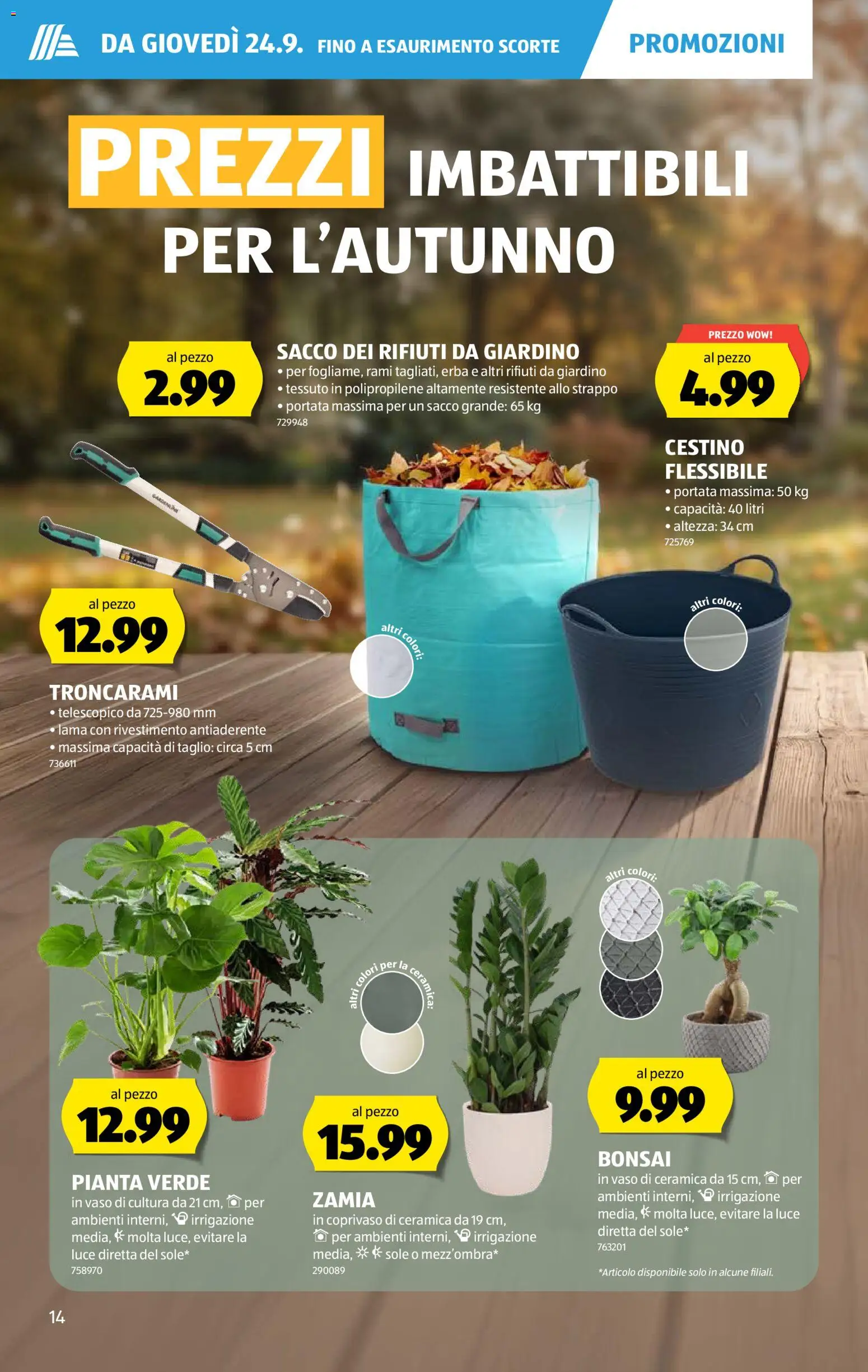 Aldi aktionen IT – gültig ab 24.09.2026 | Seite: 14